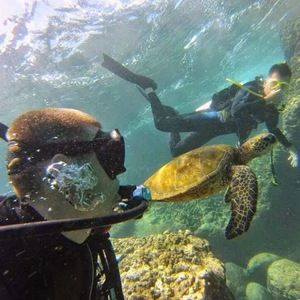 Meet your Posher, Jess